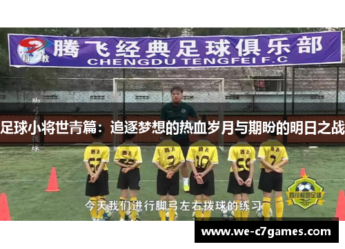 足球小将世青篇：追逐梦想的热血岁月与期盼的明日之战