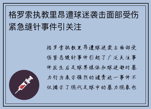 格罗索执教里昂遭球迷袭击面部受伤紧急缝针事件引关注